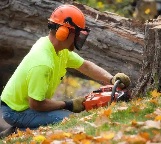 tree services Humphrey